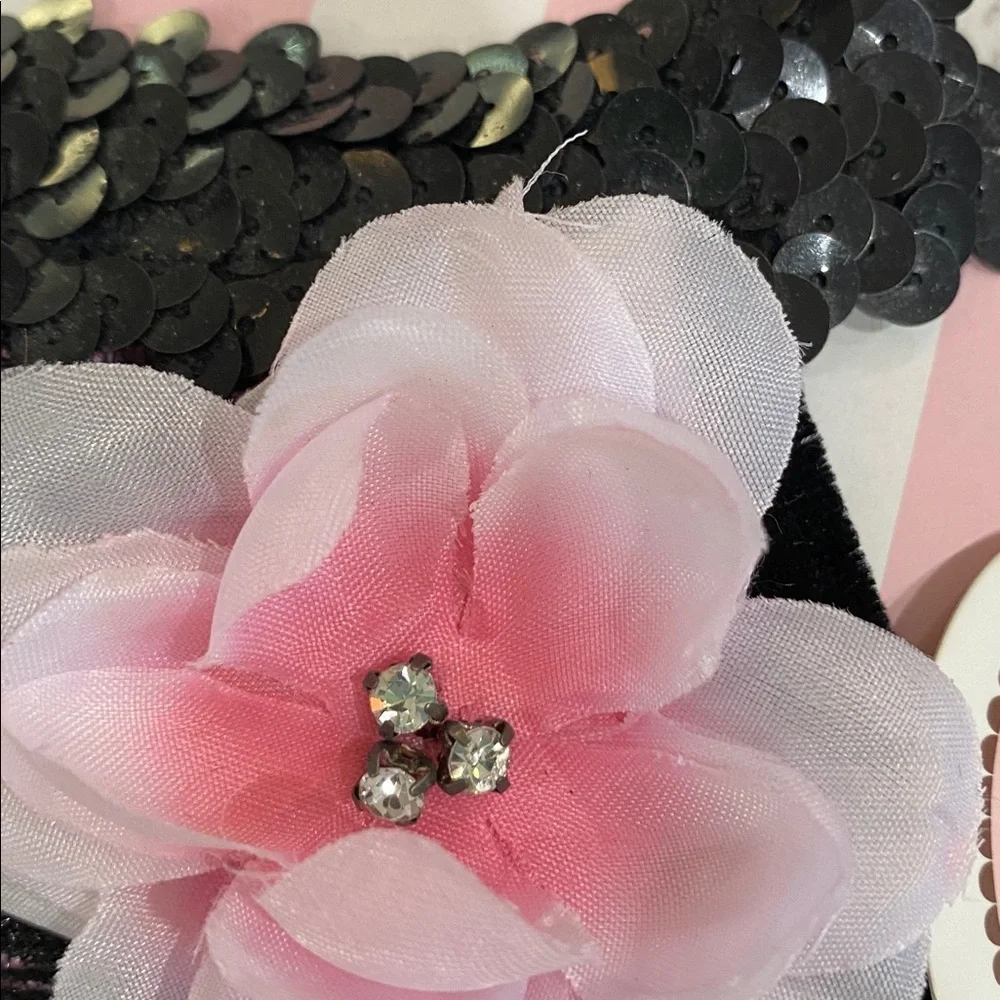 Black and Pink Dog Accessory